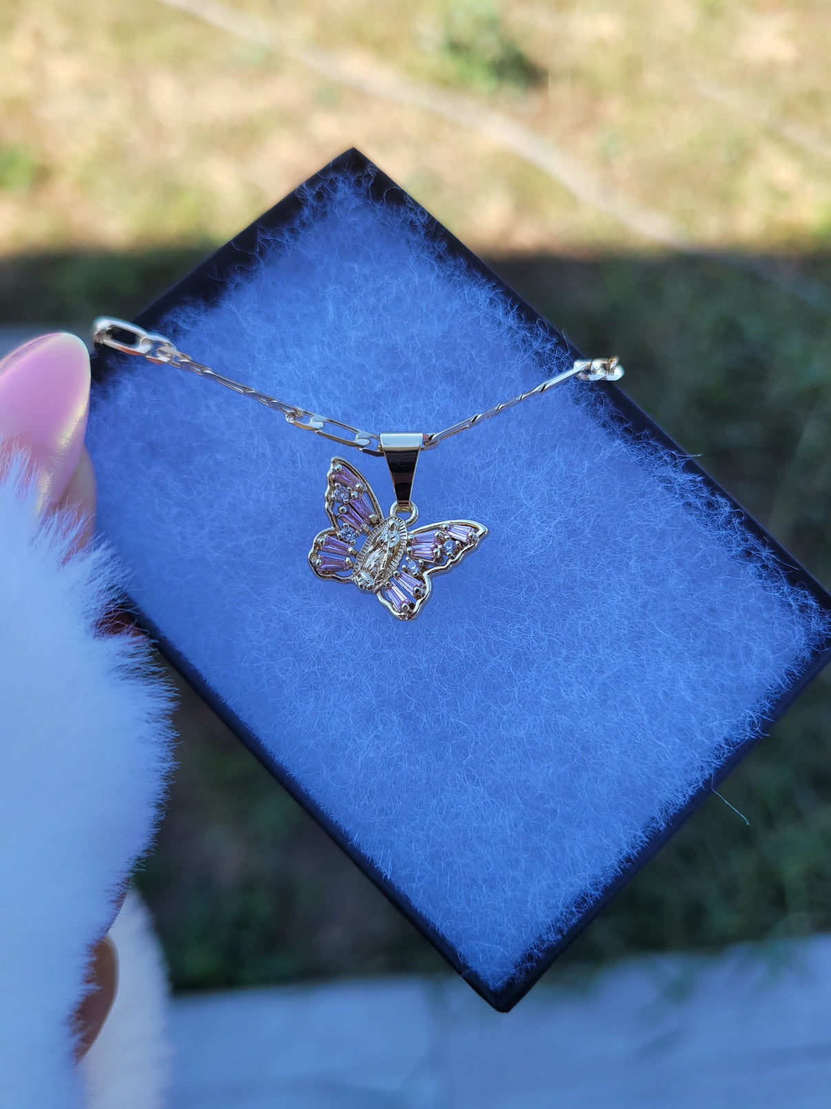 Mariposa Virgencita ✨️